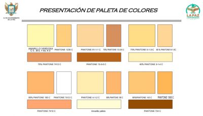 Paleta de Colores Oficial